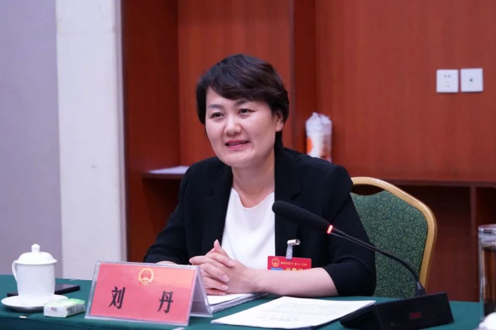 两会时间强延峰刘丹与代表们共同审议讨论丛台区人民政府工作报告