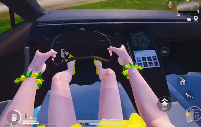粉丝想白嫖特斯拉皮肤？主播一顿操作，号主看呆