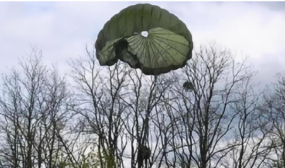 二战飞行员跳伞挂树上70年后才被找到已变成白骨身上长满杂草