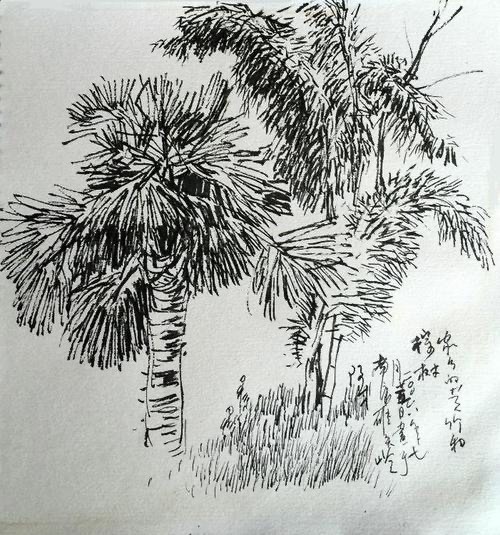 写生是创作的灵魂分享一组张际才的写生速写手稿