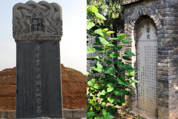 姚崇的老谋深算:痛哭武则天,进谏唐玄宗,死了还能算计活的张说