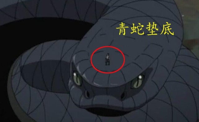 性格特点与个体能力都有差距 唯一的共同点就是都成为过佐助的通灵兽