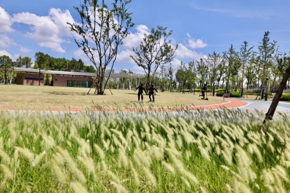 占地90000余平方米,金山这个新公园开园啦!