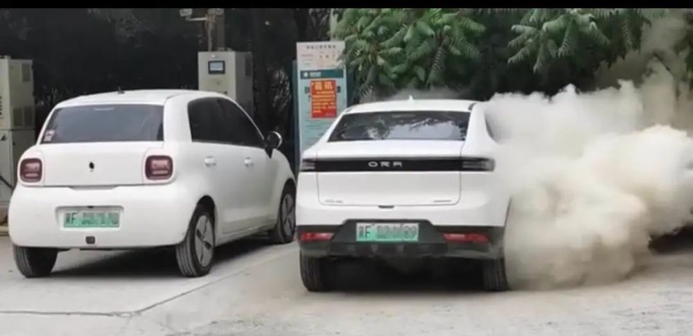 被充电站拉黑！长城召回多辆欧拉iQ