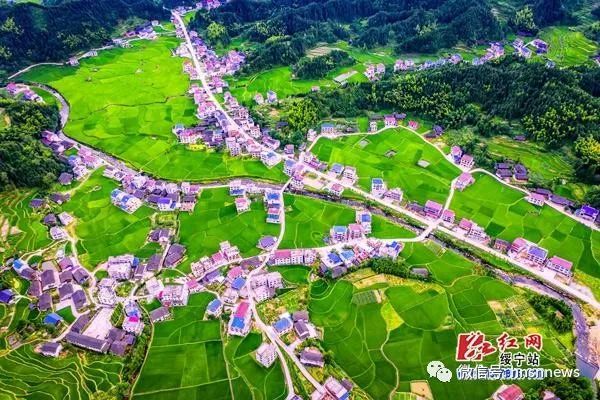 组图丨 七月绥宁绿意盎然