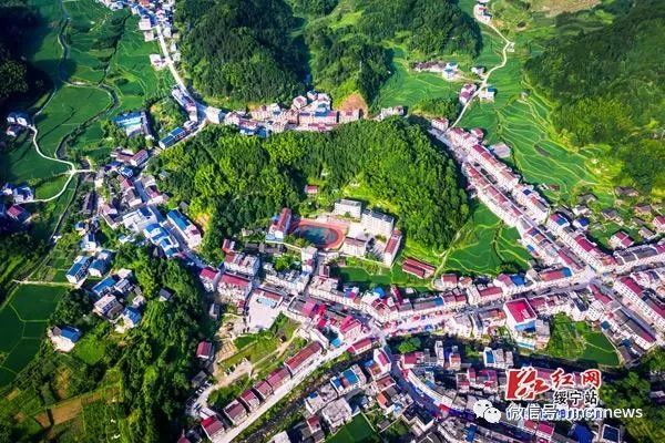 组图丨 七月绥宁绿意盎然