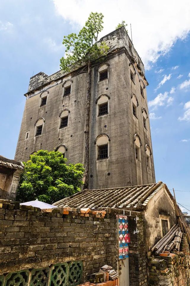 村子里有一处碉楼——陆雁群碉楼.漫长的岁月里,时光不停变迁.