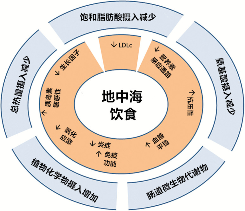 地中海饮食:逃离癌症的"诺亚方舟"?