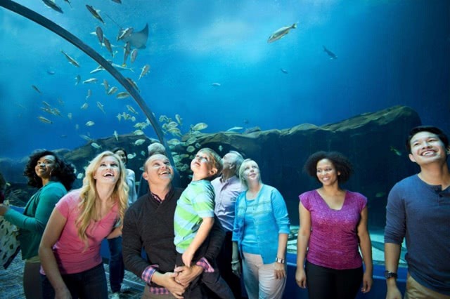 水族馆排行_世界上最大的水族馆,为保护海洋生物,游客进入需要严格的安检!