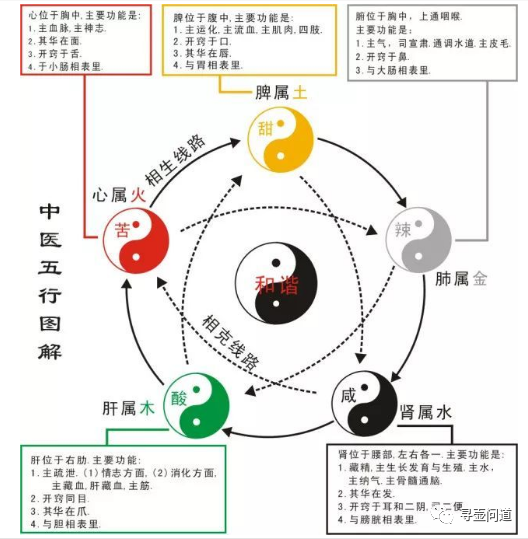 紫砂壶的"气韵"如何去理解