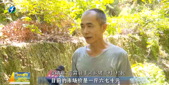牛大力种植基地有哪些