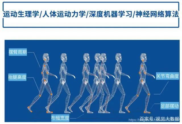 从技术角度上来讲,步态识别是基于运动生理学,人体运动力学等学科原理
