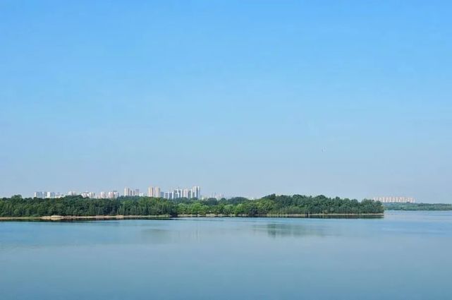 與濱湖國家森林公園,少荃湖溼地公園等以森林,旅遊為側重點的公園不同