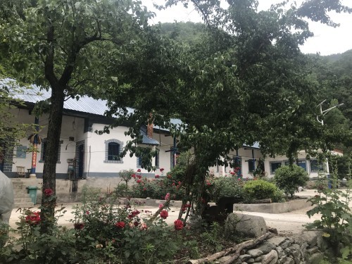 西峡桑坪镇多措并举提升农村环境质量