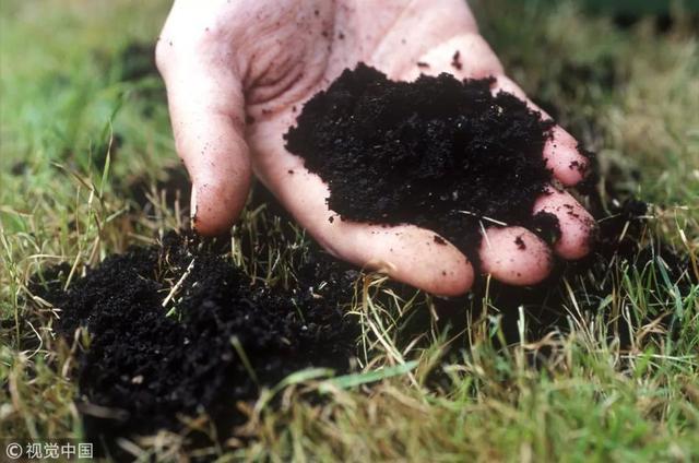 东北黑土正在被贱卖国家出手了耗费16亿资金为黑土地补色