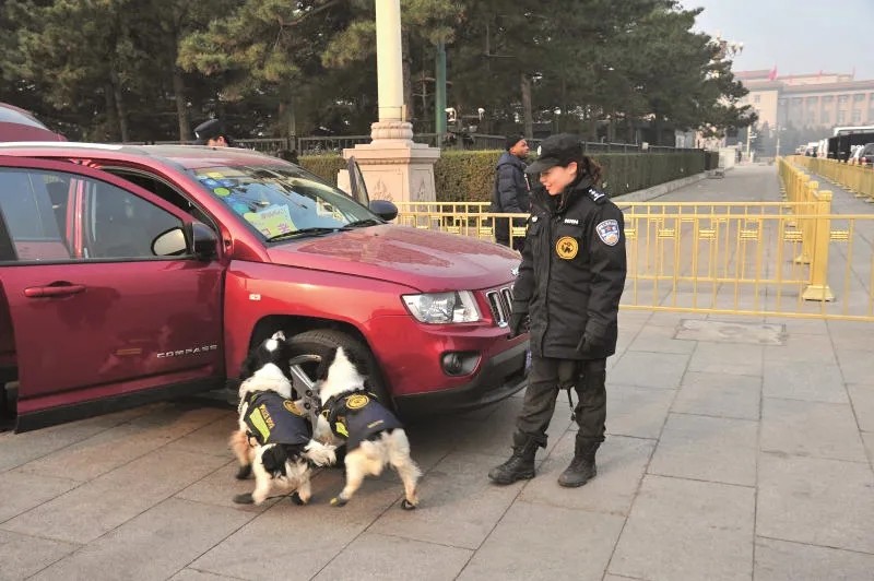 带你一起出道,破案去!现实版警花与警犬的故事