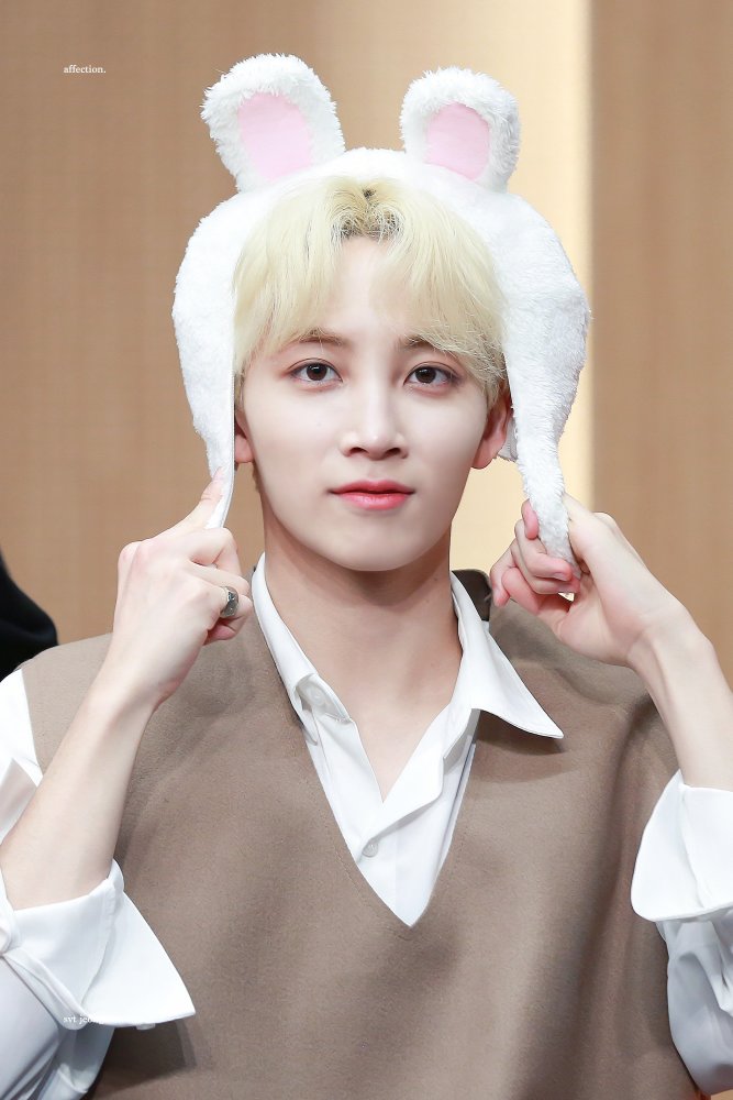 seventeen—尹净汉:nu'est—崔珉起:exo—金俊勉