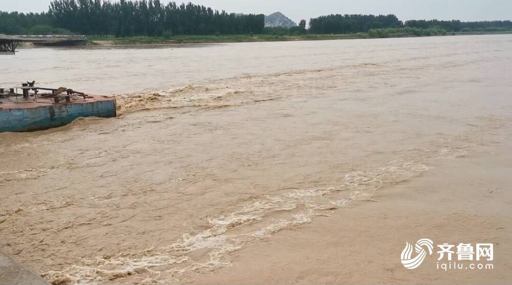 黃河山東段迎來大流量洪水過程 山東要求24小時不間斷巡查排查黃河