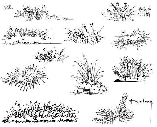 前景灌木丛的处理是场景空间中的一大亮点,用轻松灵活的线条围合勾勒