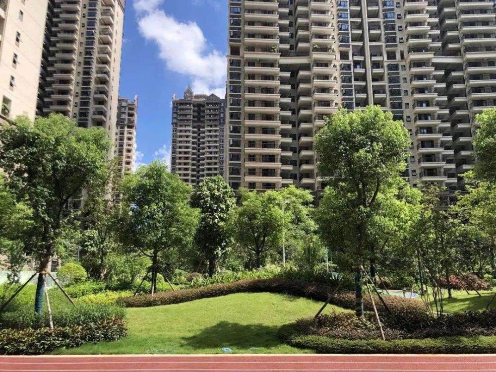 这个楼盘真豪横期中考试排第一买房还能送车位