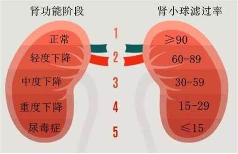 若家裡有腎衰患者請收好這份腎衰患者飲食注意