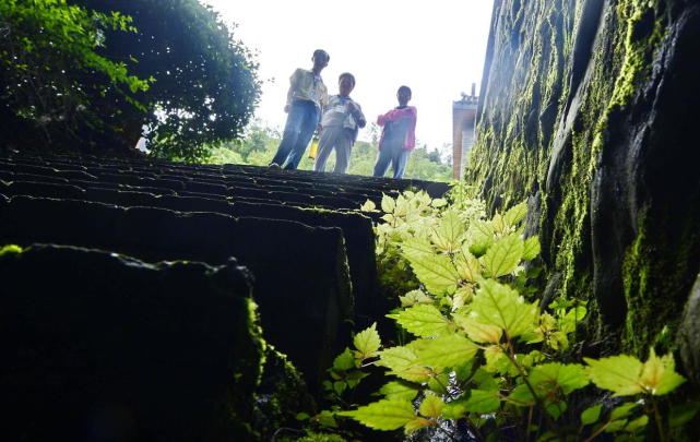 嵐皋縣楊家院子的午餐嚴建設