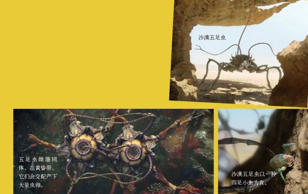 走进外星球的怪兽世界 全网搜