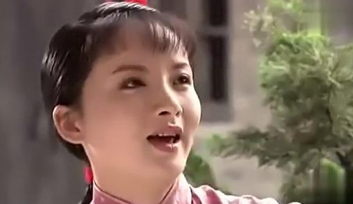 演香秀的谢兰,最想演的角色是杨九红,你觉得她能演活杨九红吗?