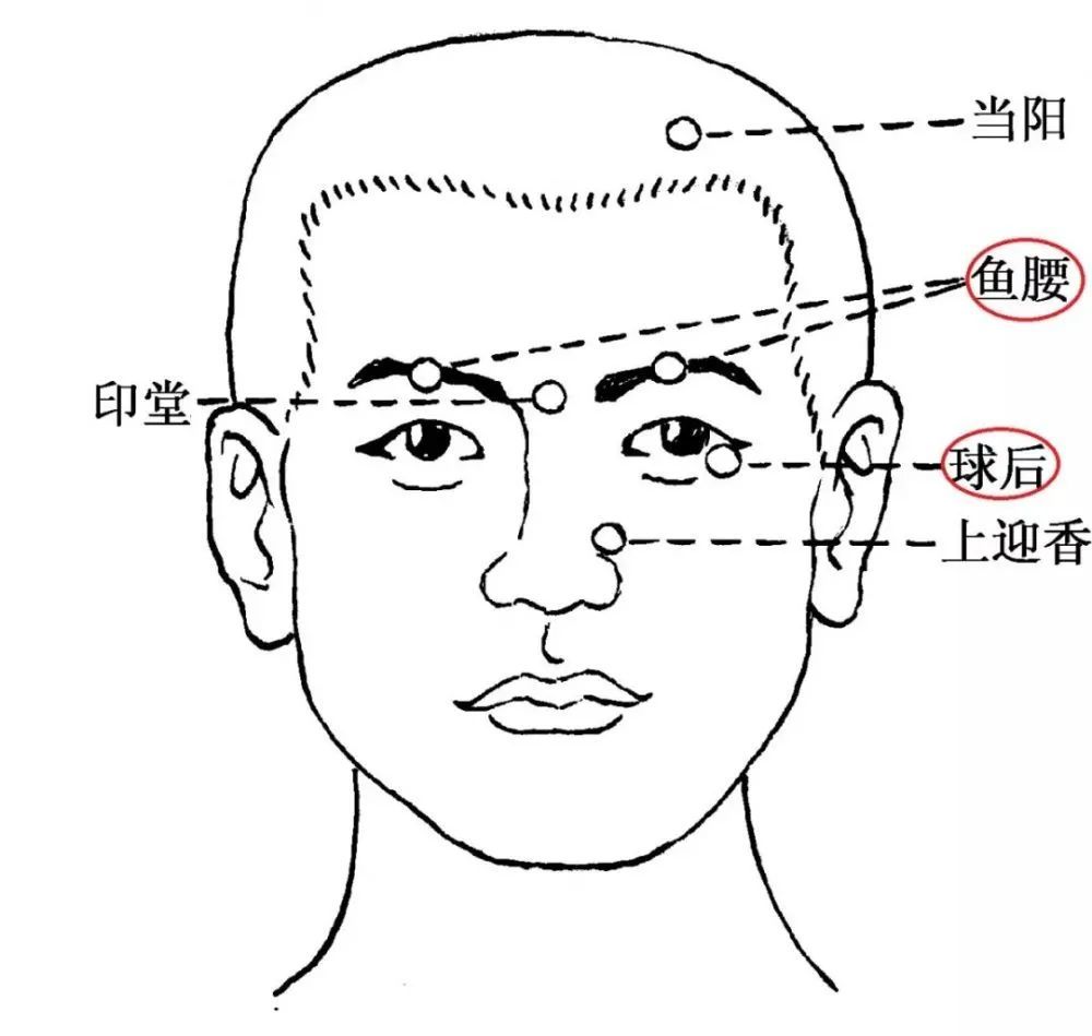 面部美容穴位和作用!_騰訊新聞