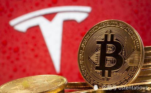 比特币暴跌，马斯克该走下神坛了