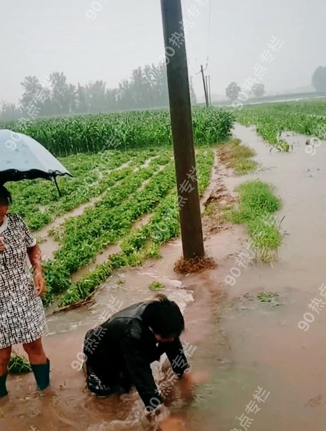 河南鹤壁大水淹田农妇跪地痛哭这是一年的收成啊太可怜