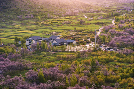南山村,登上国家级榜单!