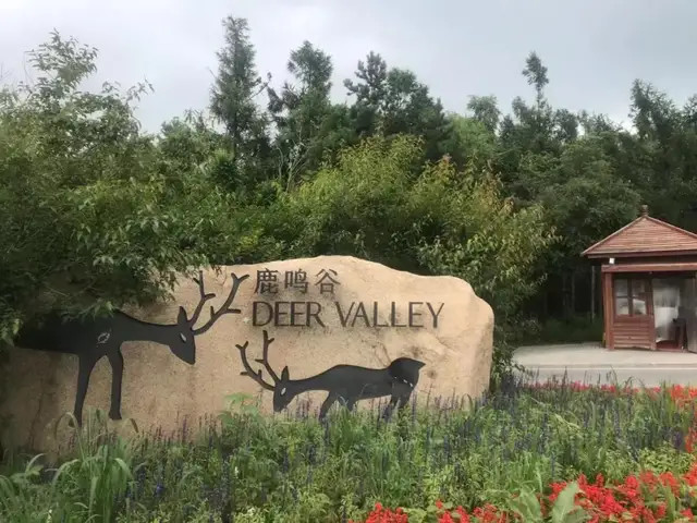 号称坐拥289万平方米森林谷地的长春鹿鸣谷土地被收回