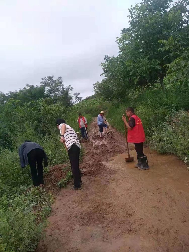 盧氏縣杜關鎮:積極開展雨後生產恢復活動