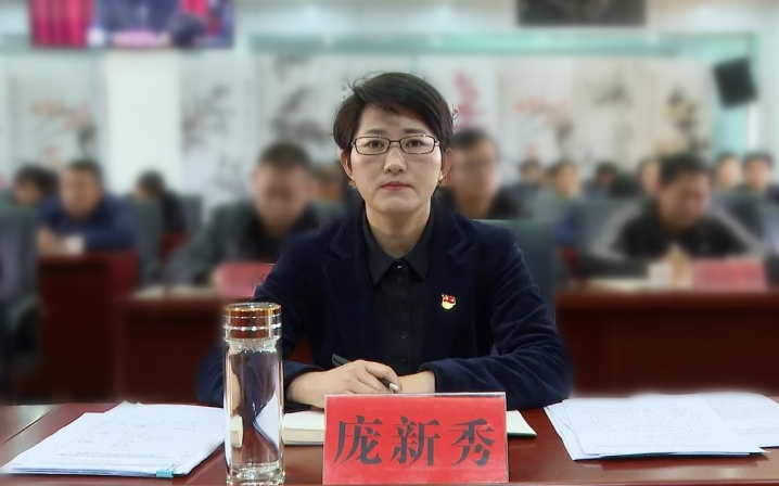 原副书记,县政府原县长庞新秀严重违纪违法问题进行了立案审查调查