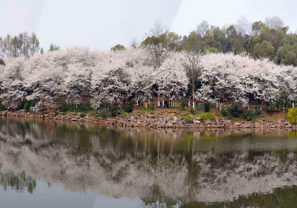 又一新公园将入驻长沙,选址雨花区,预计下半年开建,市民乐开花