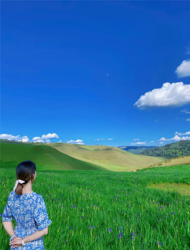 丽江推荐草原花海丽江竟藏着这样一个秘境