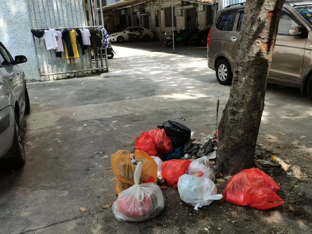 曝光|市区某处垃圾乱堆乱放现象严重,市民苦不堪言