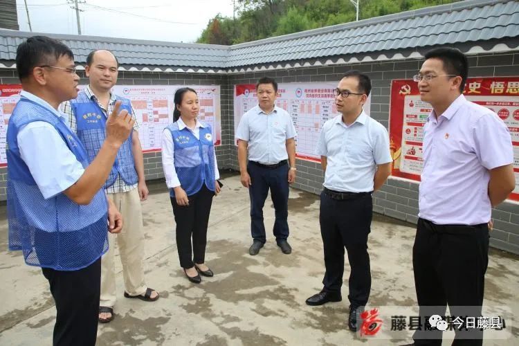 夏敏到新庆镇检查指导党风廉政建设等工作