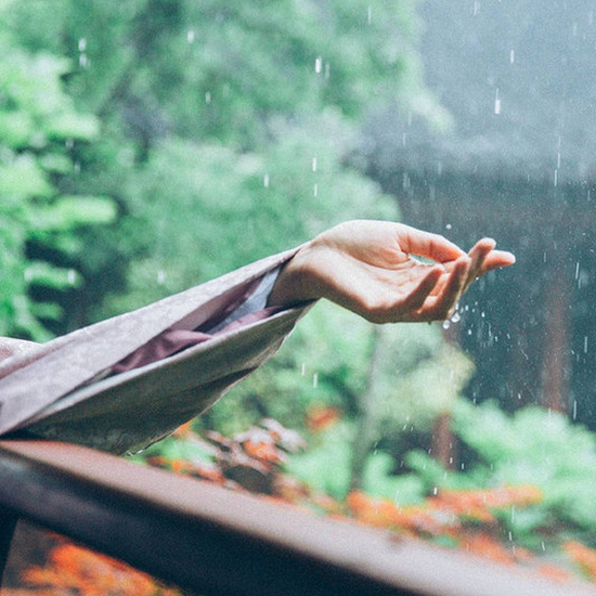 蘇軾《十八大阿羅漢頌》自在飛花輕似夢,無邊絲雨細如愁.