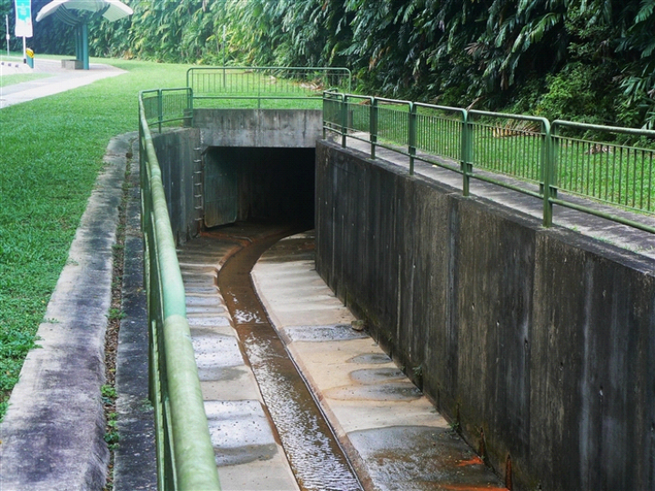 水沟的底部都有一条槽,这是为了平时水流很小的时候,水只从底部小槽流