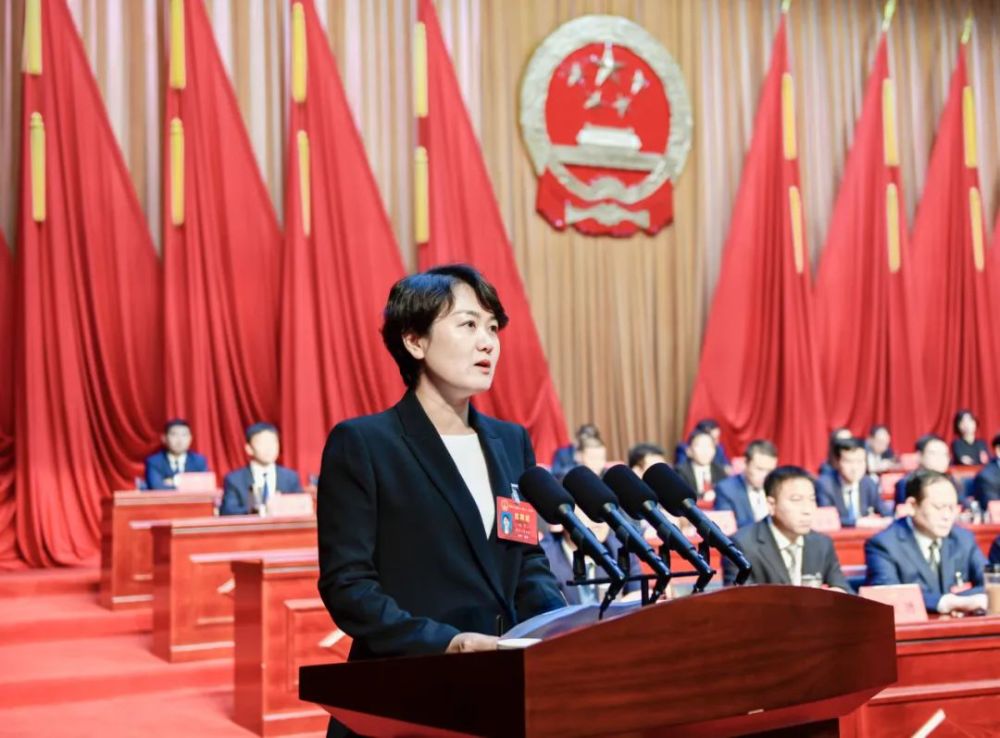 两会时间刘丹当选为丛台区人民政府区长