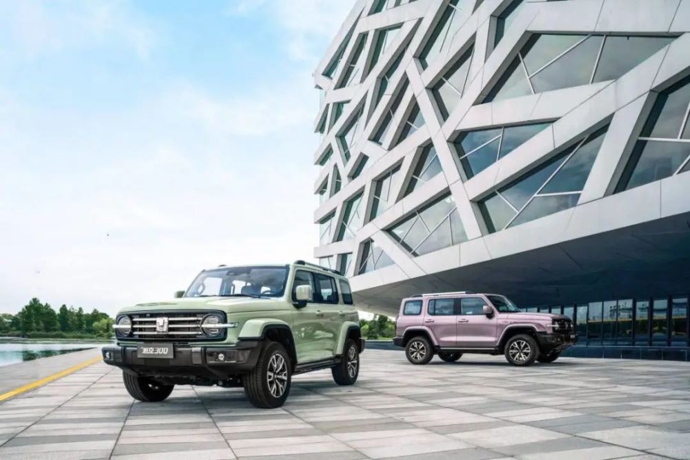 和越野版相比，起售价更高的坦克300城市版能更受青睐？