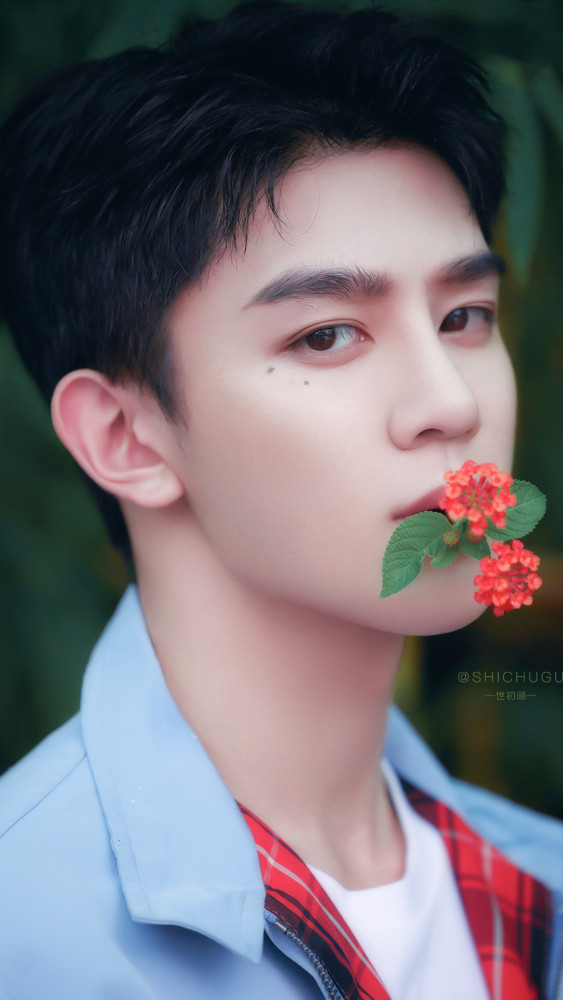 爱豆壁纸夏之光花与少年