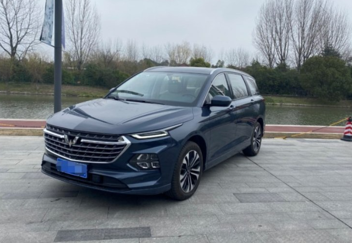 品质高价格却实惠，这款车长近4米9，好开实用，6个座椅都是VIP