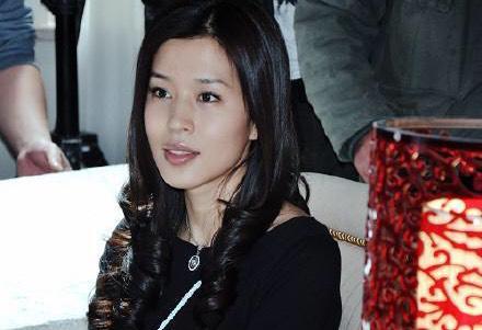 然而媒体似乎偏向张艺谋,认为他是被动的,把所有矛头都对准王海珍,说