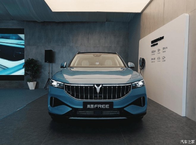 岚图free家族式设计运用了瀑布式中网突出岚图logo