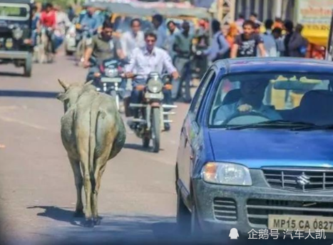 这个国家的汽车居然没有后视镜？就是厉害，不愧是开了挂的民族