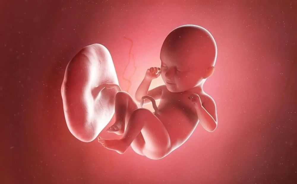 天伦科普前置胎盘很危险胎盘前壁or前置胎盘你分清楚了吗