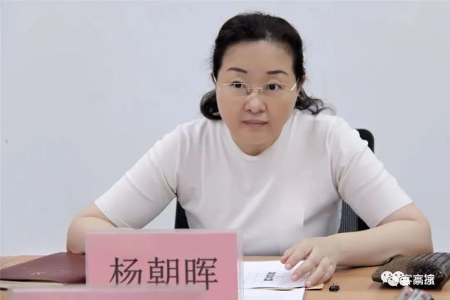 杨朝晖(茂名籍),履新广东地级市市委副书记